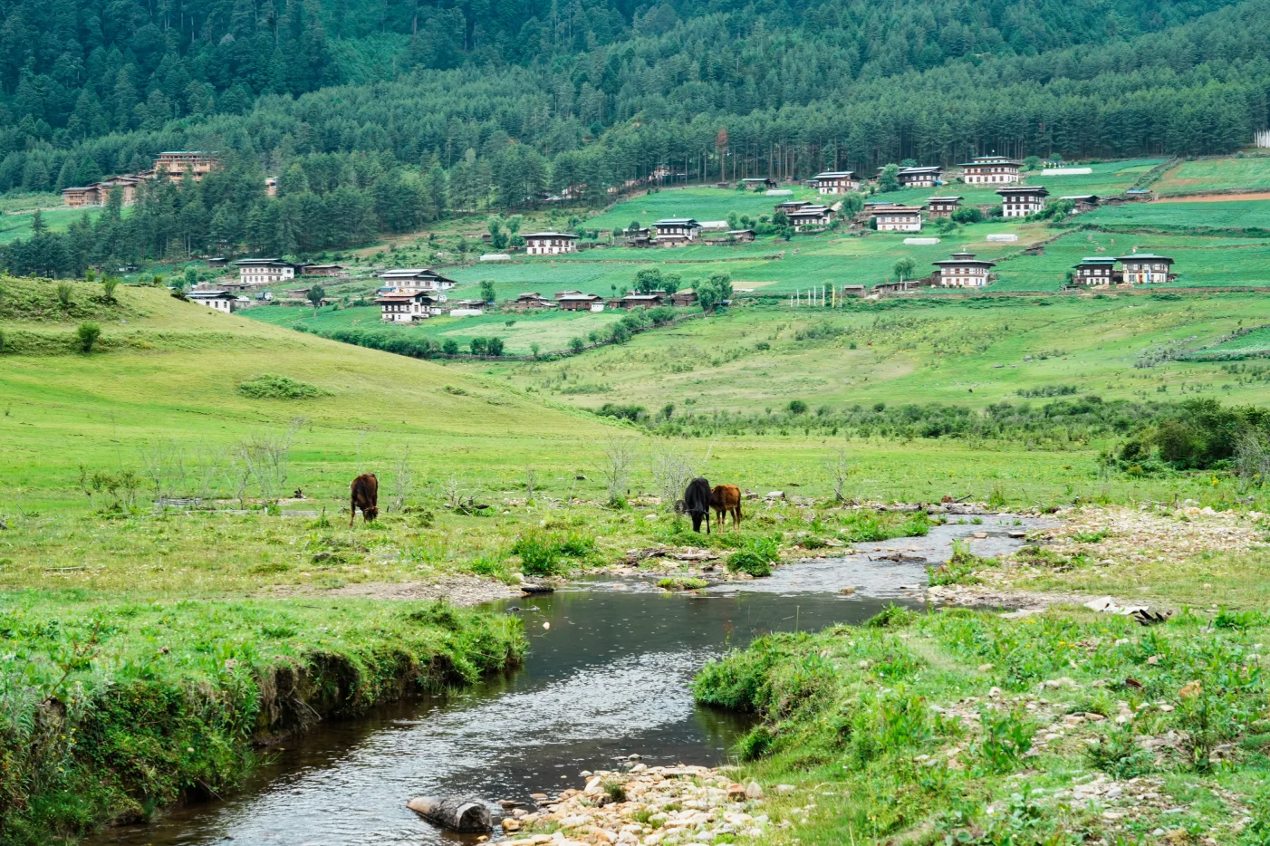 Traditional Bhutanese village in a lush green valley with grazing yaks and a flowing stream, reflecting Bhutan’s sustainable environment and Gross National Happiness values.