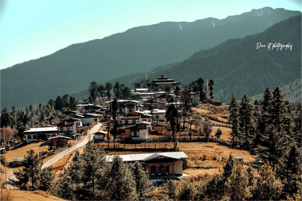 Traditional Bhutanese village houses at the edge of a dense forest in Bhutan, illustrating community life, environmental conservation, and sustainable living practices in the Himalayas.